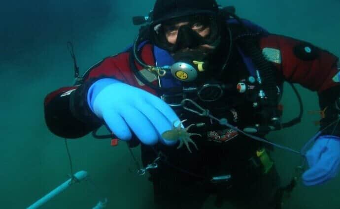 Ukrainian scientists discover new leeches species from Antarctic