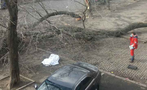 Шквальний вітер в Одесі: дерево вбило жінку