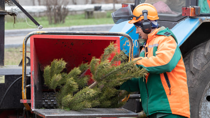 В Киеве открыли 33 пункта переработки елок
