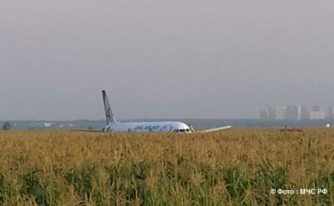 Самолет на Симферополь совершил жесткую посадку в поле Подмосковья