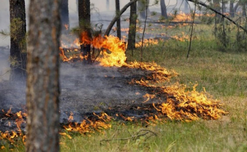 На заході України оголосили надзвичайний рівень пожежної небезпеки