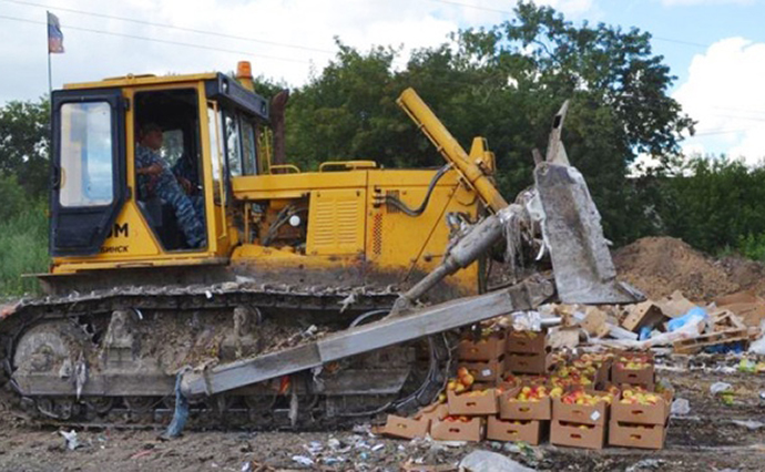У Росії бульдозером знищили понад 7 тонн української черешні