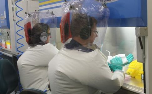 У пошуках рятунку від COVID-19: вчені тестують вакцини, у Китаї застосовують ведмежу жовч