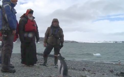 Патриарх Кирилл поехал к пингвинам после встречи с Папой Римским