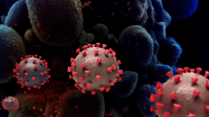 WSJ: Звіт США підтвердив ймовірність витоку коронавірусу з уханської лабораторії