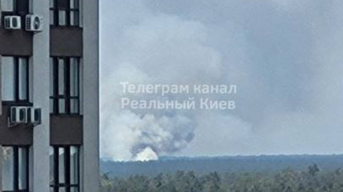 Возле Киева вспыхнул пожар: горит лесная подстилка