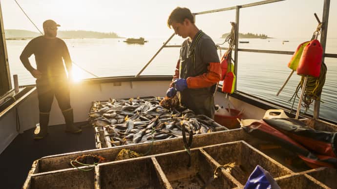 EU considers ban on fish imports from Russia, potentially impacting Germany