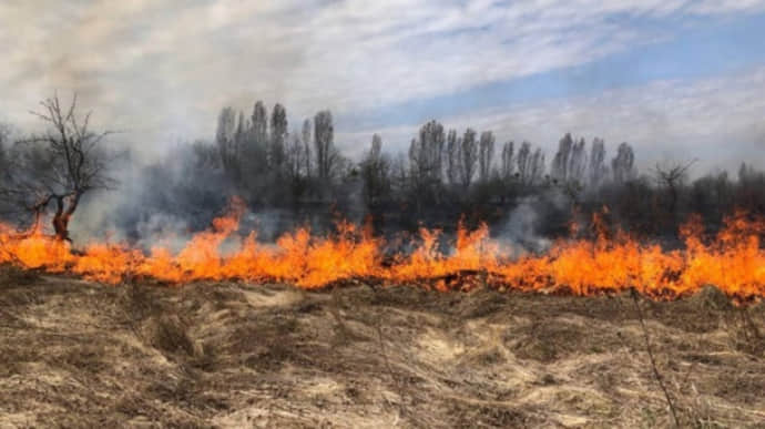Из-за обстрелов оккупантов произошел лесной пожар на Харьковщине