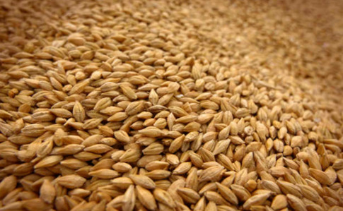 Из оккупированного Крыма экспортируют зерно в подконтрольные Асаду территории Сирии - Reuters