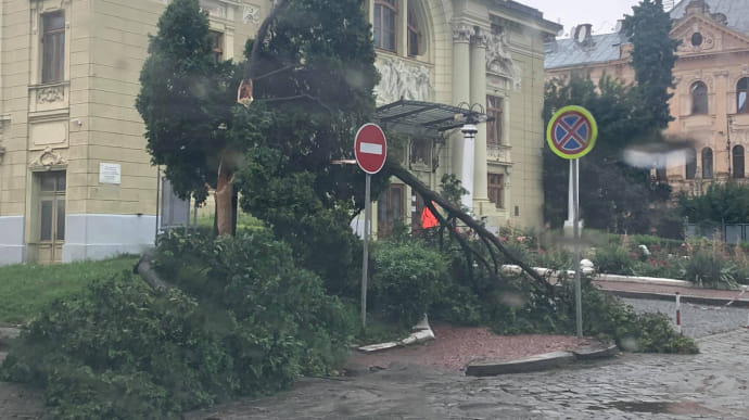На Черновцы налетел ливень: затоплены и без света улицы, повалены деревья