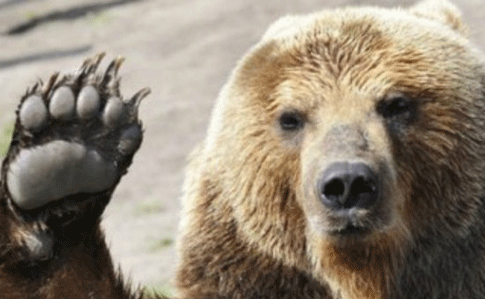 В Москву будут ходить только медведи: Омелян анонсирует ограничения