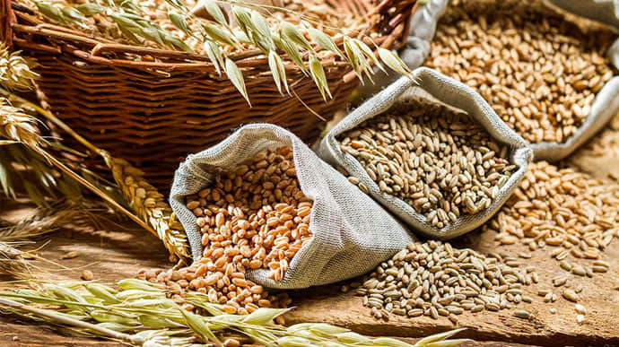 Poland prepares to extend ban on import of Ukrainian grain