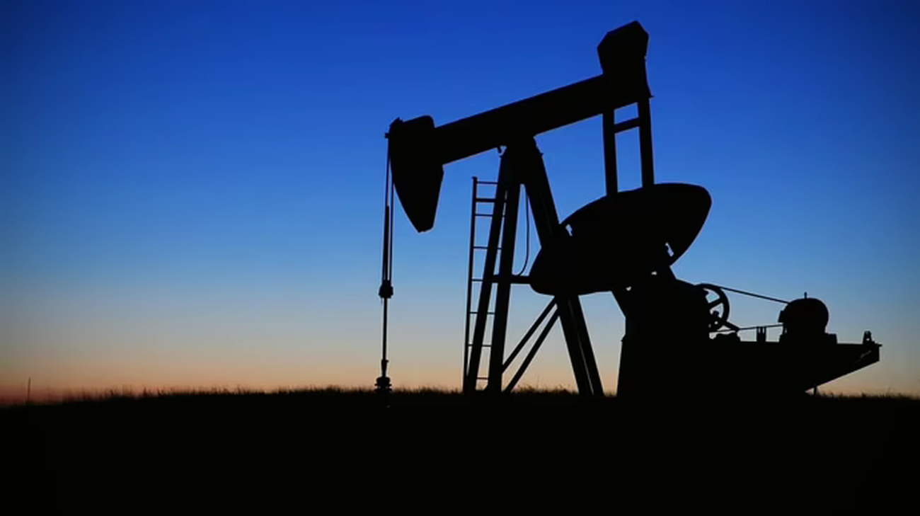 Drone attack halts oil transit at Russian Ust-Luga port, Bloomberg reports