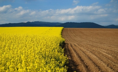 ЄСПЛ зобов'язав Україну скасувати мораторій на продаж землі