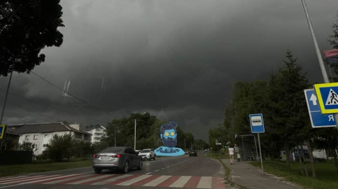Потужна злива у Львові повалила 100 дерев