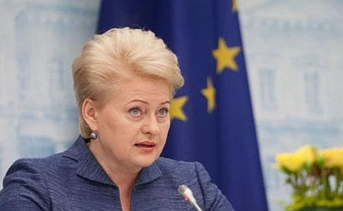 Грибаускайте – украинцам: Не время ставить под сомнение евровыбор