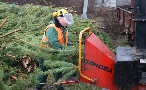 Киевские власти посоветовали утилизировать новогоднюю ель
