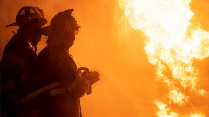 Firefighters rescue kittens from blast-damaged building in Kherson after hearing meowing by chance – video