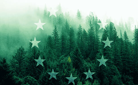 ЕС отложит реализацию части зеленого соглашения из-за пандемии - СМИ