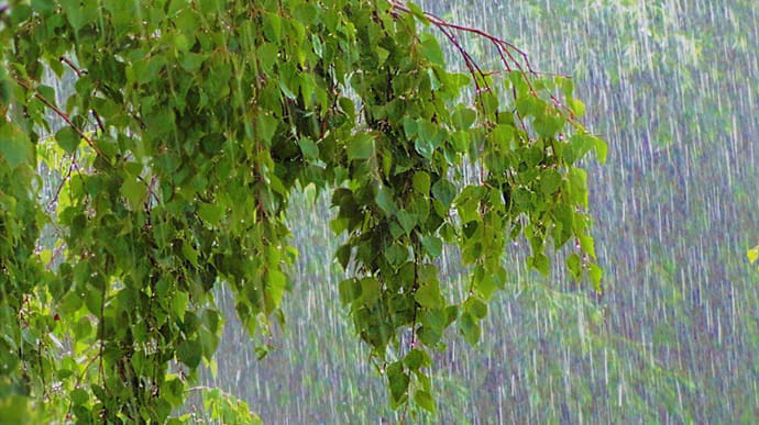 Найближчими днями Україну охоплять дощі з грозами і шквалами