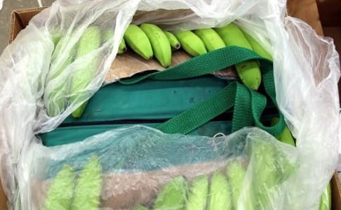В Болгарии в бананах нашли 75 килограмм кокаина