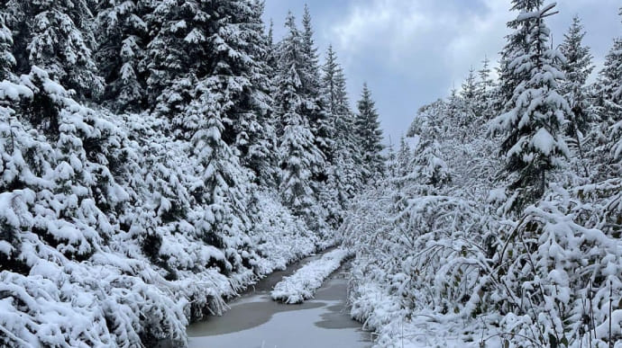 Сніжна погода уже перетнула кордон: ДПСУ попереджає про ризики