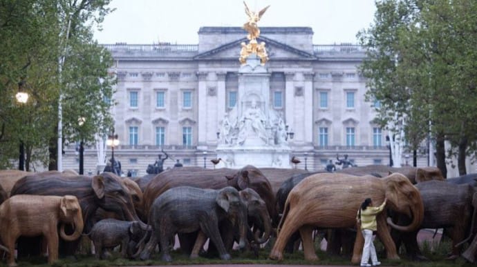 Біля Букінгемського палацу встановили 125 дерев’яних слонів 