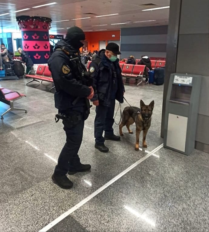 Кінологи поліції в терміналі D Бориспільського аеропорту