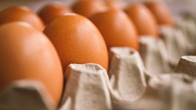 У Росії надумали імпортувати з Ірану курячі яйця