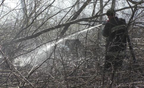 У Чорнобильській зоні й на Житомирщині ще тліє, у заповіднику гасять пожежу