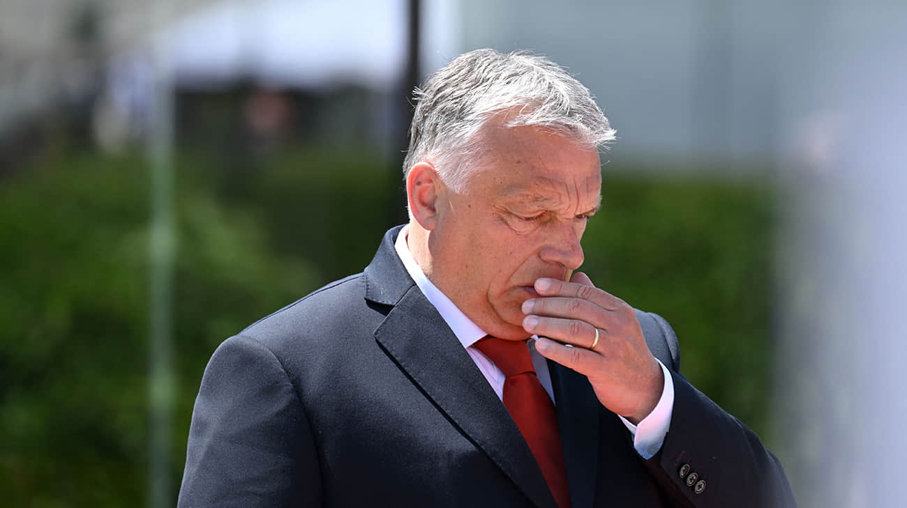 Hungarian PM dissatisfied with start of Ukraine's EU accession talks but will not block them