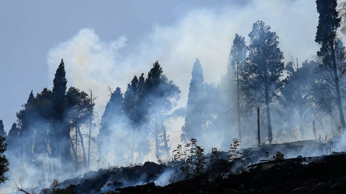 Масштабный лесной пожар вспыхнул в Черногории