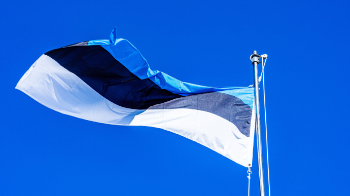 Вибори в Естонії: Партія реформ лідирує з великим відривом 