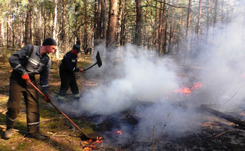 На Чернігівщині величезна лісова пожежа, задіяли літаки 