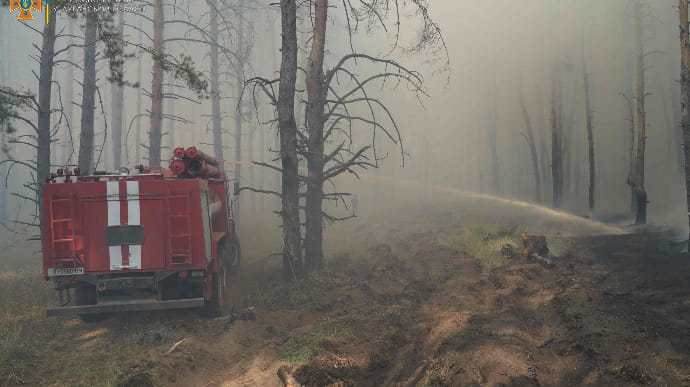 Рятувальники борються з лісовими пожежами на Луганщині