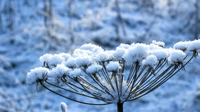 Снігопади і морозець − синоптики розповіли, якої погоди чекати у грудні 