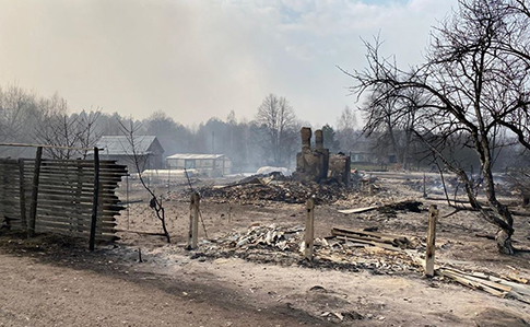 В Житомирской области осталось 4 очаги пожара – глава ОГА