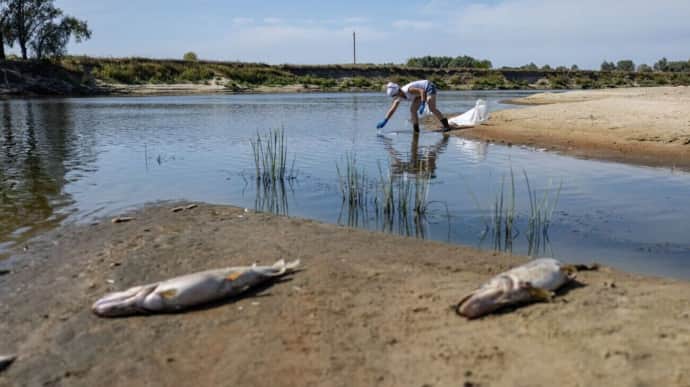 Source of pollution of Seim and Desna rivers found, restoration to take 2-3 years