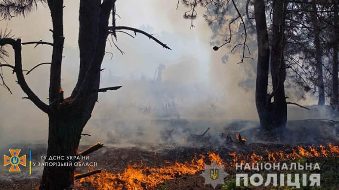 В заповеднике Хортица произошел пожар – уничтожен гектар леса
