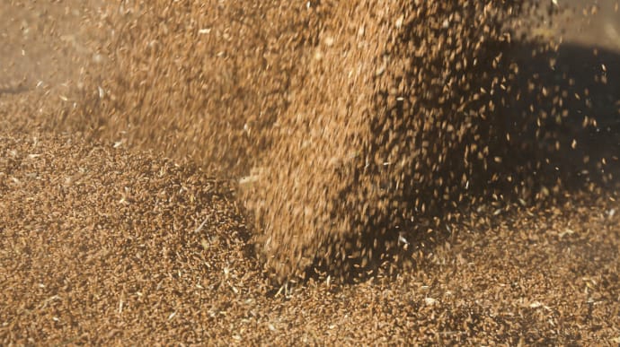 В ЕС вступили в силу повышенные импортные пошлины на зерно из РФ и Беларуси