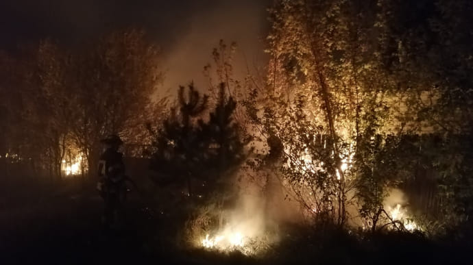 Пожар на Луганщине подбирается к городам и селам, повреждены десятки зданий