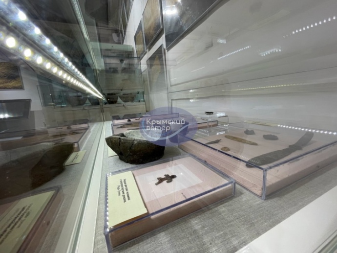 The exhibition displays over 1,200 archeological artefacts. Photo: Crimean Wind on Telegram