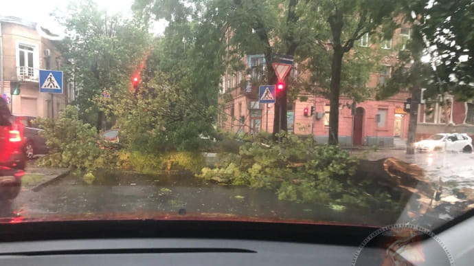 Лежат деревья, электротранспорт не ходит: на Львов снова налетела сильная буря