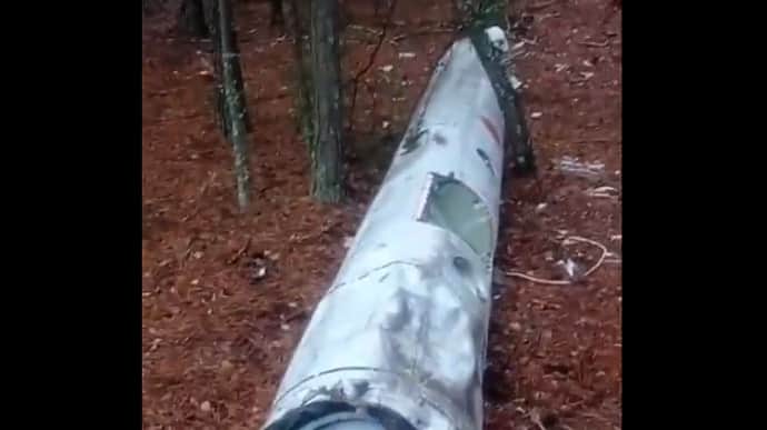 Giant missile found in Kyiv Oblast forest