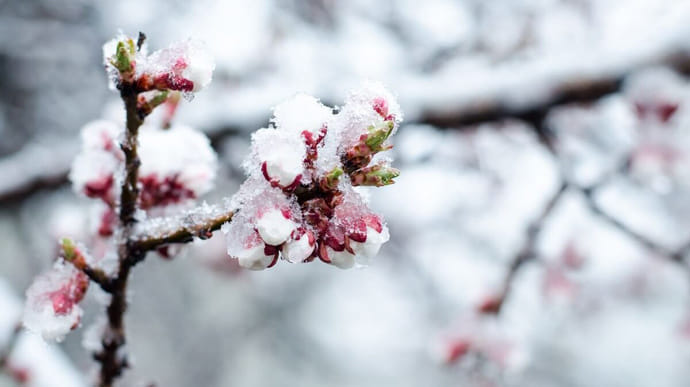 В Украину идет похолодание, на западе возможен снег
