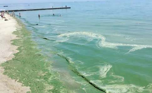 В Одессе позеленело море: купаться не рекомендуют