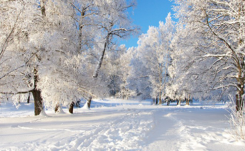 На Різдво в Україні до 16 морозу
