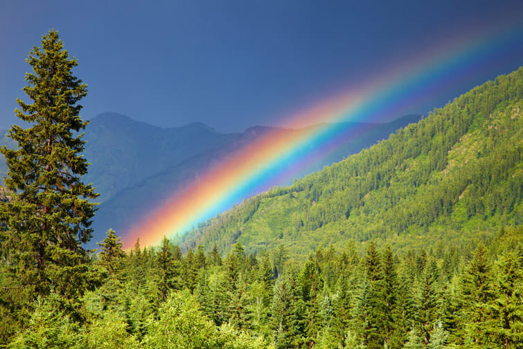 Russians report rainbows to security forces because they remind them of LGBT propaganda