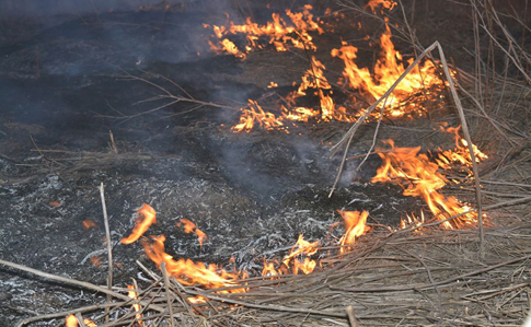 Через обстріл біля Мар'їнки виникла пожежа, пошкоджено опорний пункт