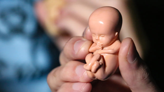 РПЦ призывает запретить делать аборт женщинам с высоким доходом